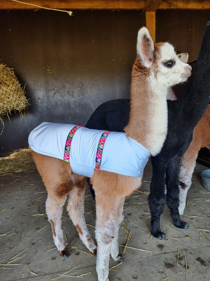 Alpacajasje "Peru" - prematuur tot 1 maand