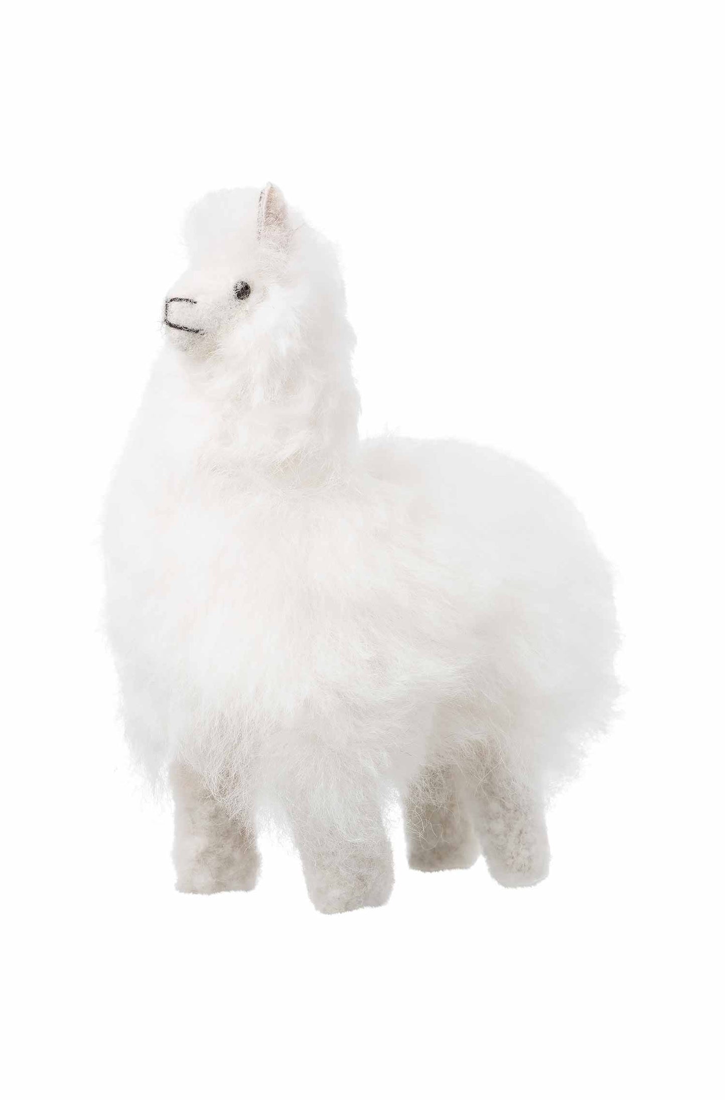 Alpaca knuffelbontdier