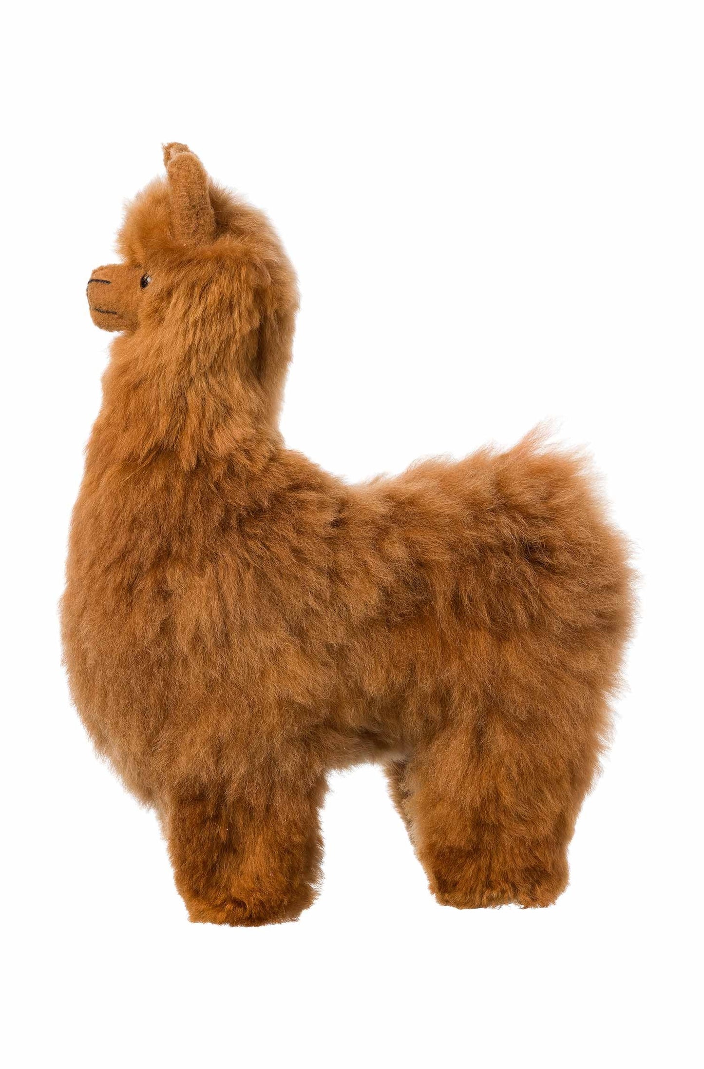 Alpaca knuffelbontdier