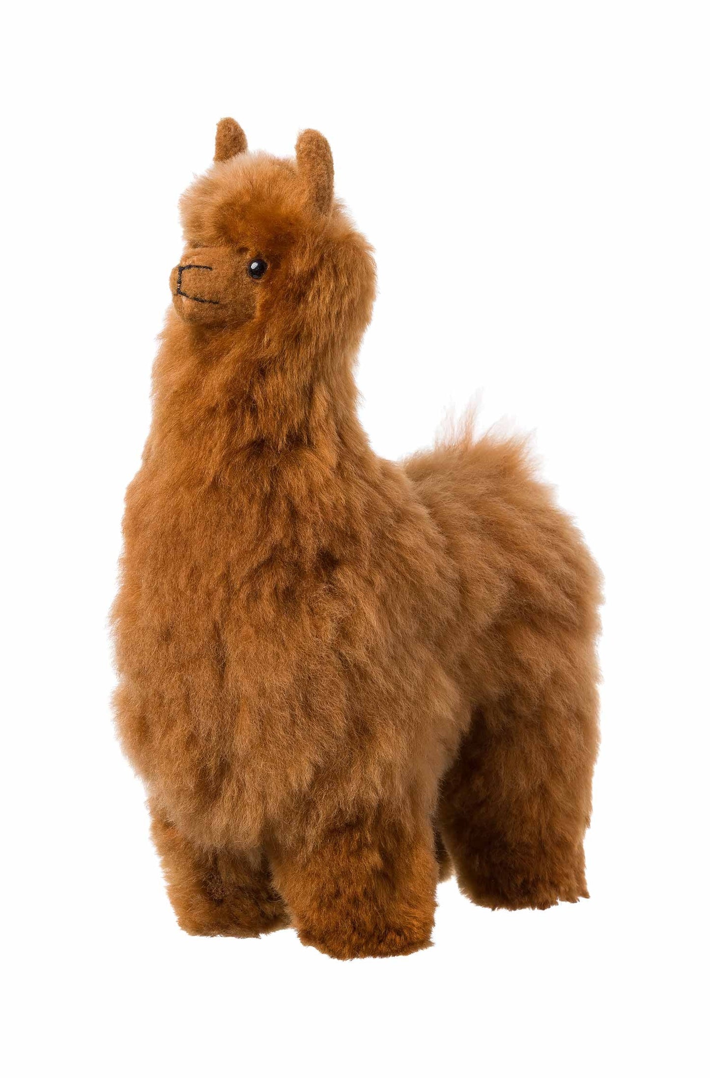 Alpaca knuffelbontdier